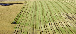 canada-saskatchewan_5151627