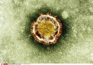 1124090_alerte-au-coronavirus-en-chine-web-tete-021102463304_660x466p